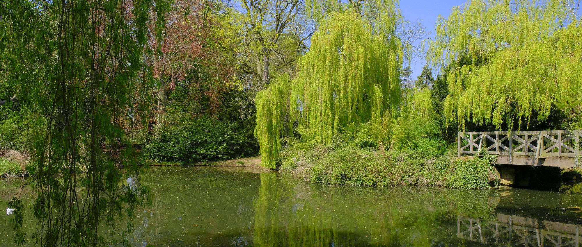 Stewart Park lake on a sunny day under blue skies