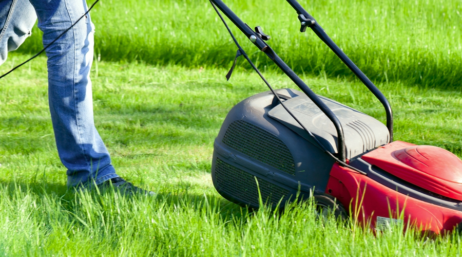 Lawnmower in garden