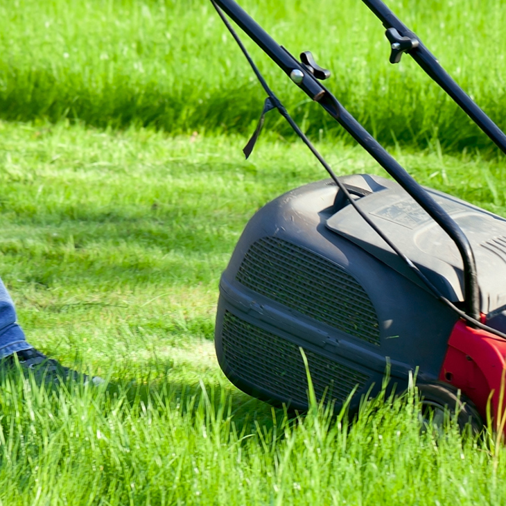 Lawnmower in garden