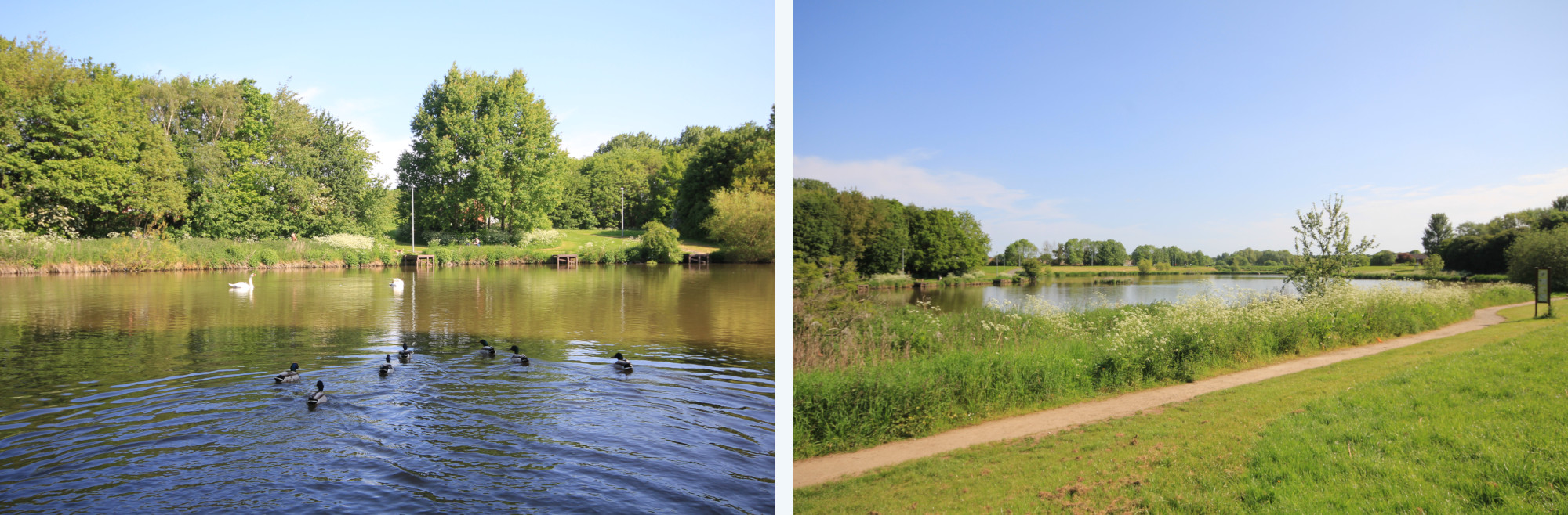 Hemlington Lake in the sunshine